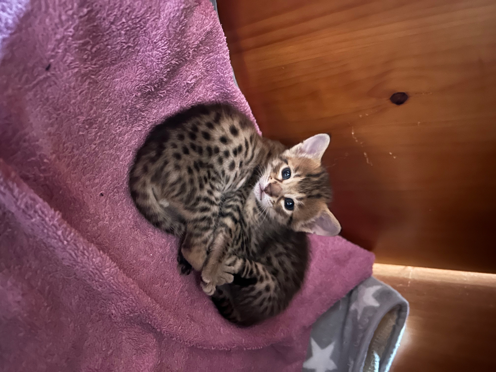 2024 03 02 17.09.171